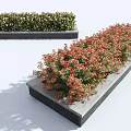 Colorful Flowering Shrubs In Long Stone Planter Boxes For Garden Landscape Design