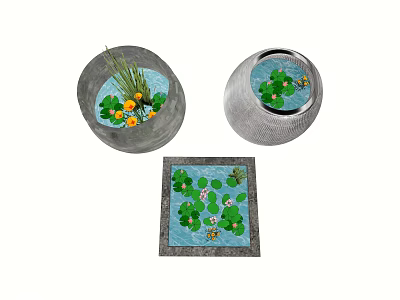 Decorative Indoor Aquarium Fish Tanks With Round Square Shapes Green Plants And Yellow Flowers 3d model