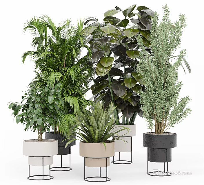 Various Types Of Lush Potted Plants With Decorative Colored Pots And Different Leaf Shapes 3d model 