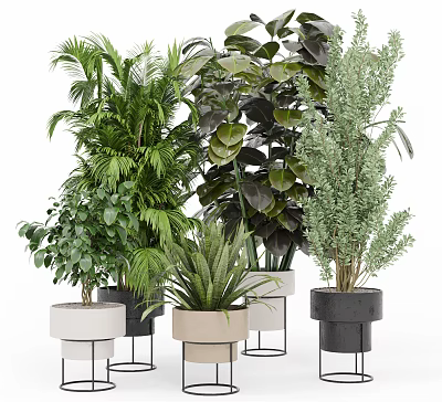 modern potted plant green plant potted plant 3d model modern potted plant green plant potted plant 3d model