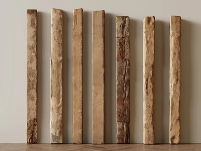 Rustic Wooden Logs With Various Textures And Colors Arranged Against Light Wall On Wooden Floor 3d model
