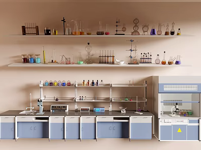 Industrial Laboratory Equipment Setup With Lab Benches Fume Hoods Glassware And Reagent Bottles 3d model