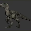 Realistic Velociraptor Dinosaur 3D Model With Detailed Scaly Skin And Dynamic Posture
