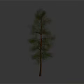 Isolated Tree with Brown Trunk and Green Leaves on Gray Background 3d model