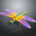 Colorful Dragonfly With Vibrant Colored Mesh Pattern Wings And Colorful Body