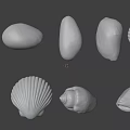 Collection of Natural Seashells and Pebbles with Diverse Colors and Shapes