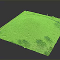 Green Lawn Surface With Pathway And Tree Shadows In Open Area