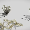 3D Rendered Various Plants Featuring Grass Shrubs Slender Branches And Clustered Leaves In Natural Landscape