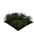 Decorative Fern Plant Arrangement with Lush Green Fronds and Natural Foliage for Home Decor
