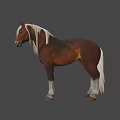 Brown Horse With White Mane And Tail Standing In Natural Outdoor Setting