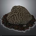 Natural Brain Coral Marine Animal Decor With Red Brown Stones On White Edged Tray