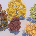 Colorful Deciduous Trees with Yellow Green Orange Red and Brown Autumn Leaves
