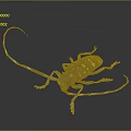 Detailed Dark Beetle With Long Antennae And White Spots On Reflective Background
