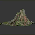 Natural Scenic Landscape With Tree Stump And Green Moss Texture Details