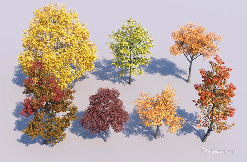 Colorful Deciduous Trees with Yellow Green Orange Red and Brown Autumn Leaves 3d model 