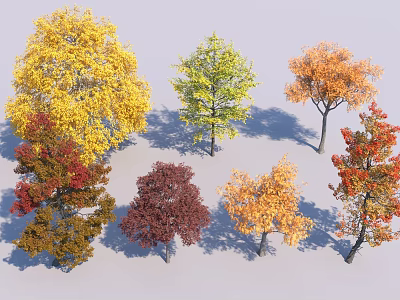 Colorful Deciduous Trees with Yellow Green Orange Red and Brown Autumn Leaves 3d model
