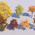 Colorful Deciduous Trees with Yellow Green Orange Red and Brown Autumn Leaves