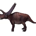 Realistic Brown Triceratops Dinosaur Model With Horns And Frill Details