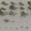 Various Arbor Trees With Different Sizes Shapes And Natural Shadows 3d model
