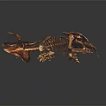 Modern skeleton dinosaur fossil dinosaur skeleton animal skeleton 3d model