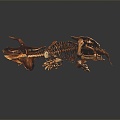 Modern skeleton dinosaur fossil dinosaur skeleton animal skeleton skeleton 3d model