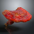 Fresh Red Vegetable Ganoderma Mushroom with Unique Shape and Glossy Surface 3d model