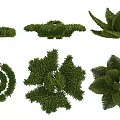 Topiary Shrubs In Various Shaped Designs For Garden Landscaping And Outdoor Decor