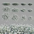 White Small Flowers With Green Leaves Clustered In Natural Garden Setting