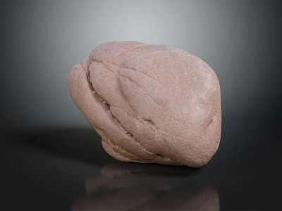 Natural Brown Decorative Stone With Textured Surface For Home Interior Design 3d model