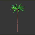 Green Leaf Palm Tree With Red Trunk Isolated On Gray Background
