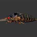 Macro View Of A Cicada With Black Body Red Eyes Transparent Yellow Wings