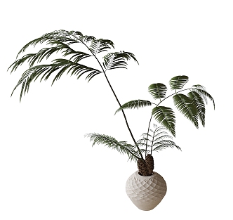 Bonsai plant ornaments 3d model