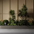 Indoor Decorative Plant Combination With Tall Trees Low Shrubs And Green Foliage
