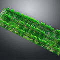 Rectangular Green Vegetation Plantation With Orderly Rows Of Lush Foliage