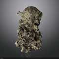 Natural Organ And Hair Structure With Rough Surface And Irregular Protrusions
