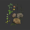 Natural Green Plants With Ferns Yellow Flowers Small Grasses And Stones