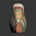 Colorful Matryoshka Dolls In Various Sizes With Traditional Patterns And Reflections On Dark Background