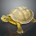 Turtle Cartoon Turtle Snapping Turtle Chickbill Turtle Reptile Cold Blooded Animal Reptile Class 3d model