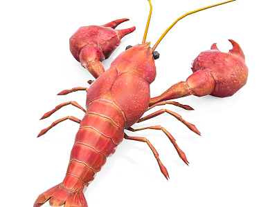 Red Lobster As Fresh Aquatic Seafood With Claws And Antennae On White Background 3d model