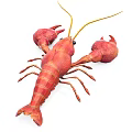 Red Lobster As Fresh Aquatic Seafood With Claws And Antennae On White Background