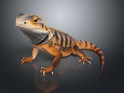 Iguana With Orange And Black Stripes Frilled Neck Sharp Claws And Long Tail 3d model