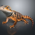 Iguana With Orange And Black Stripes Frilled Neck Sharp Claws And Long Tail