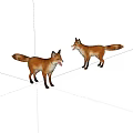Two Red Foxes Standing On White Background With Open Mouths And Tails