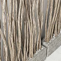 Vertical Natural Twisted Branches Decorative Arrangement In Concrete Container With Pebbles