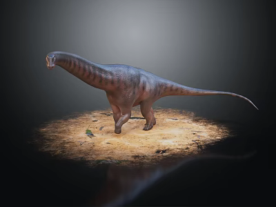 Long Necked Sauropod Dinosaur Standing On Sandy Ground With Realistic Texture 3d model