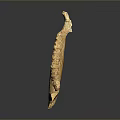 Ancient Serrated Fossil Specimen With Yellowish Bone Structure On Gray Background