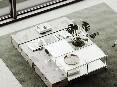 Modern Coffee Table With Glass Top Geometric Pattern And Monstera Plant On Rug 3d model