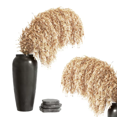 Black Ceramic Vase With Two Bunches Of Dried Fluffy Pampas Grass For Home Decor 3d model