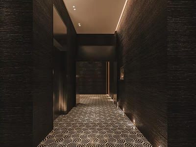 Modern Elevator Hallway With Textured Walls Patterned Carpet And Recessed Lighting 3d model