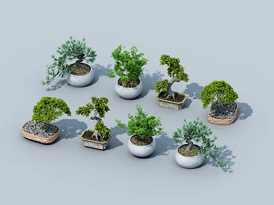Various Bonsai Plants With Different Container Designs And Miniature Tree Shapes 3d model